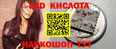 ПСИЛОЦИБИНОВЫЕ ГРИБЫ Кингисепп