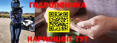 ПСИЛОЦИБИНОВЫЕ ГРИБЫ Кингисепп