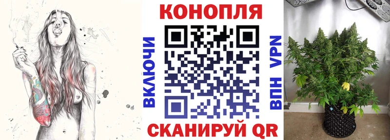 Конопля семена  Новочеркасск 